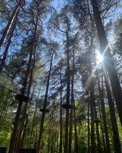 Go Ape Delamere Tree Top Adventure Days Out Near Chester