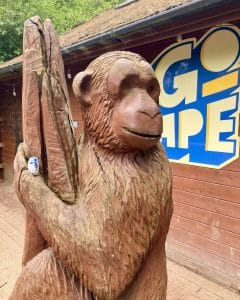 Go Ape Delamere Tree Top Adventure Family Days Out Chester