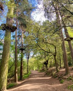 Go Ape Delamere Tree Top Adventure Family Fun Near Chester