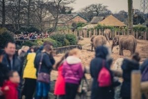 Chester Zoo A record 1.97m people visited Chester Zoo last year Chester.com 