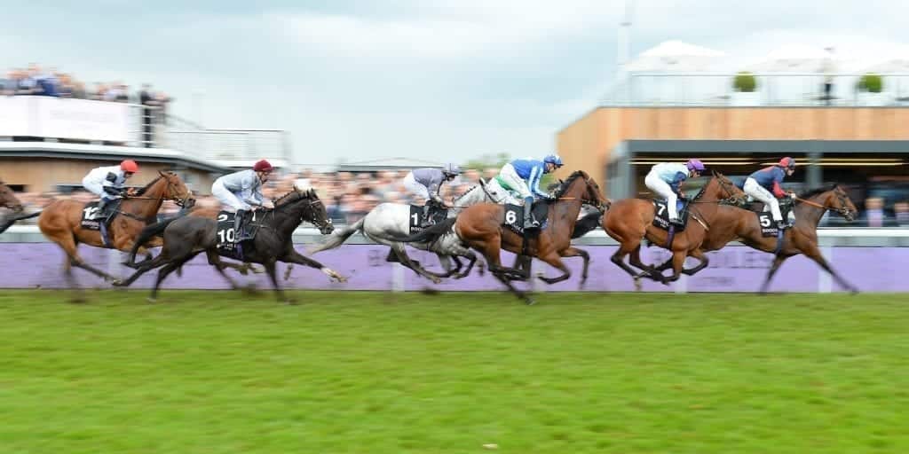 News 34 Chester Racecourse 2 Chester.com