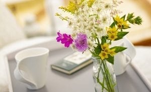 Lloyds Meadow Glamping Cheshire Countryside Comfort Tranquil Nature
