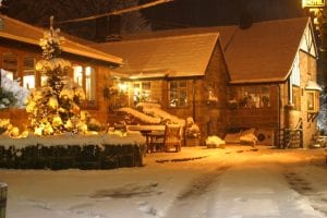 Pheasant Christmas 1