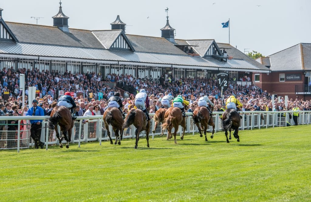 News 24 Chester Race Company Musselburgh Racecourse