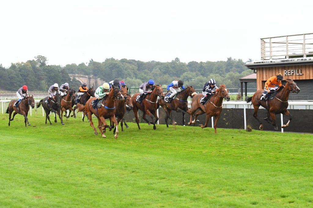News 104 The Biggest Field Of The Day In The School Of Hard Knocks Handicap Stakes