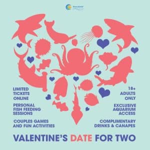 Blue Planet Aquarium Valentines Event