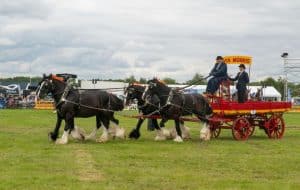 the royal cheshire county show attractions
