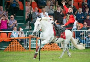 the royal cheshire county show displays