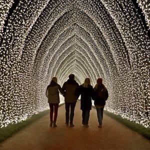 Chester Zoo Lanterns and Light Cathedral of light Lanterns and Light