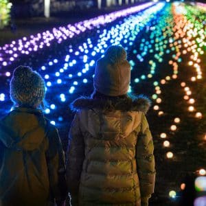 Chester Zoo Lanterns and Light Family Festive Experiencejpeg