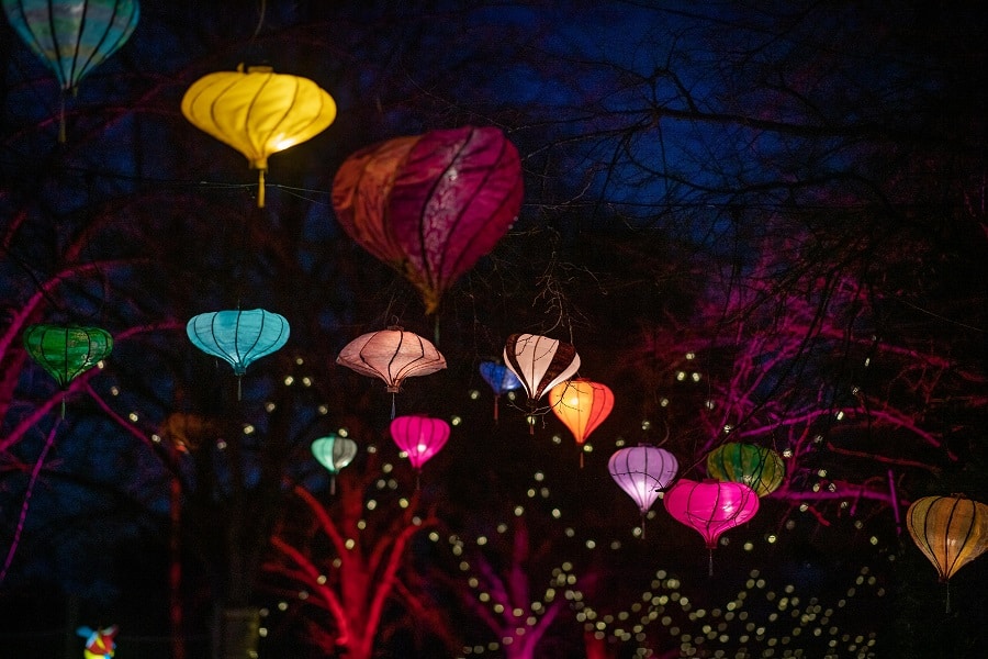 chester zoo the lanterns return this christmas at chester zoo