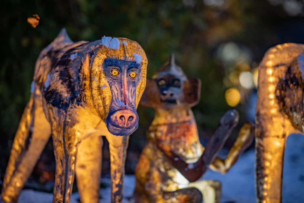 chester zoo the lanterns return this christmas at chester zoo 14)