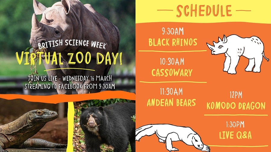 chester zoo schedule host virtual zoo day to celebrate british science week