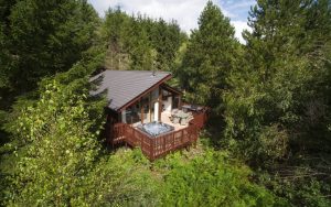 delamere forest holiday lodge