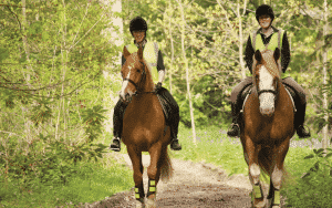 horse riding delamere forest