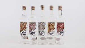 kingdom recommends gin selection