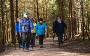nordic walking delamere forest