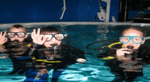 swimming with sharks for juniors blue planet aquarium