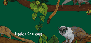 treetop challenge chester zoo