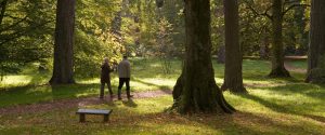 walking trails delamere forest