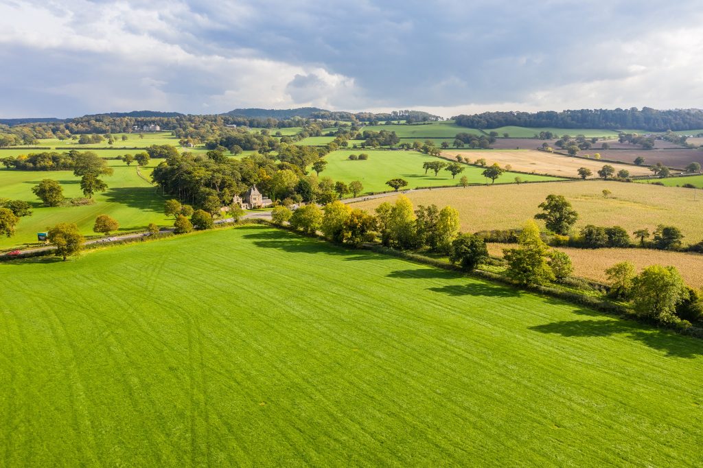 News 7 bolesworth estate