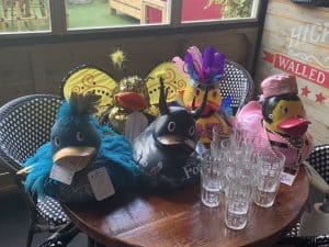 the chester duck race ducks dreesed up at the bar