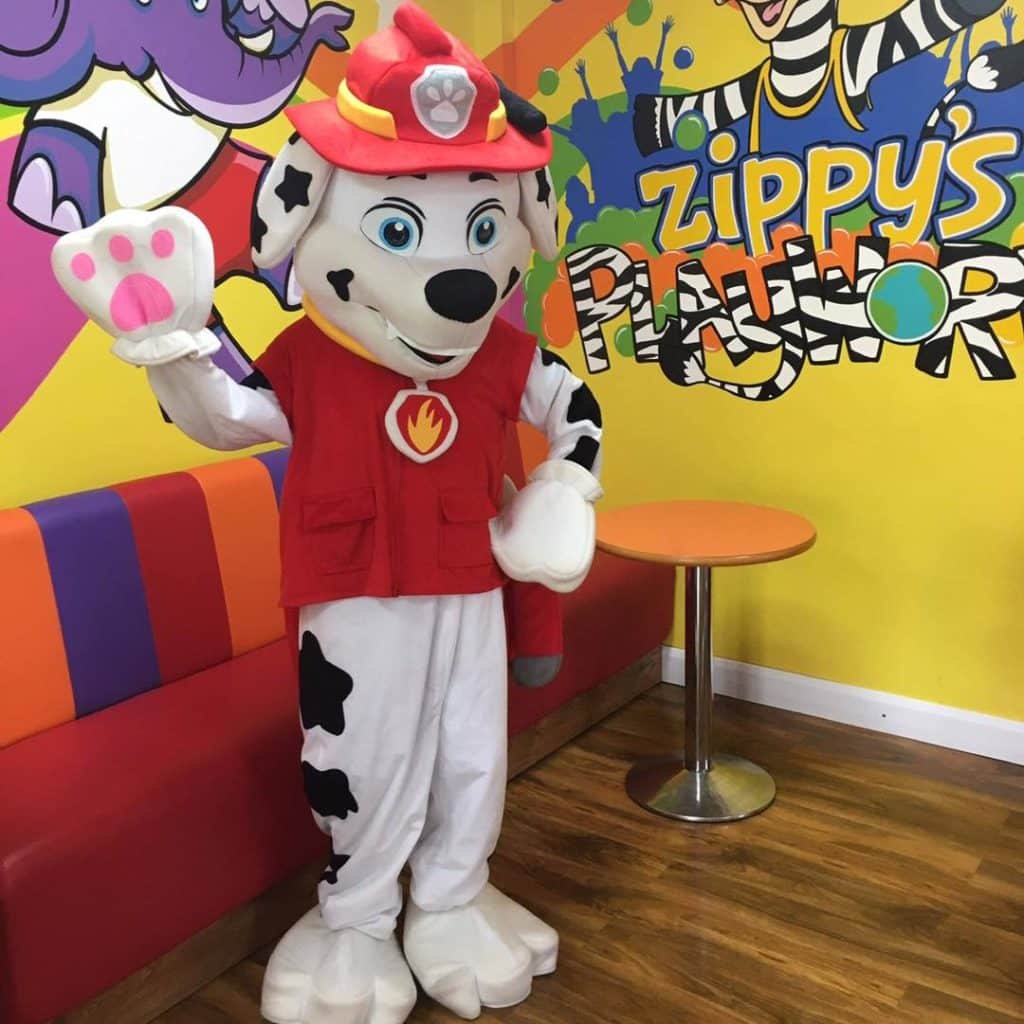 zippys playworld marshall indoor play chester