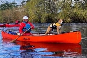 chester kayak hire conoeing with dog