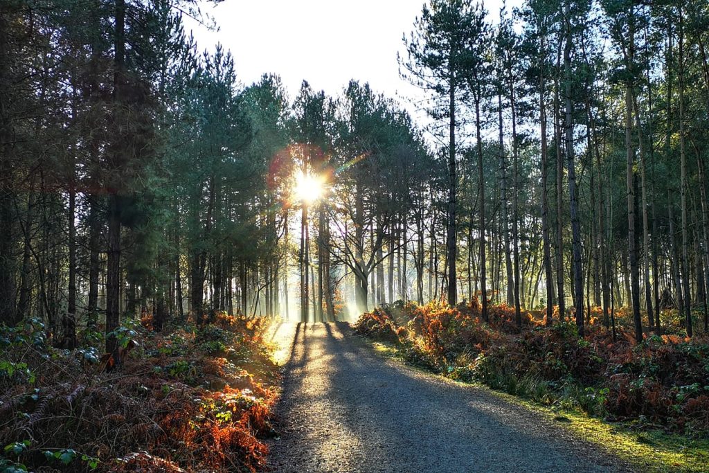 News 3 tracs delamere forest outdoor adventure