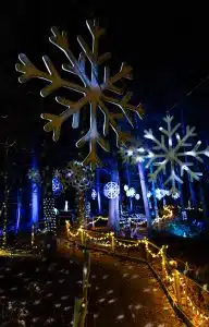 BeWILDerwood Presents Christmas Light Trail