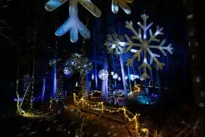 BeWILDerwood Presents Christmas Sparkly Light Trail