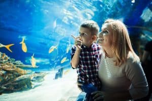 Blue Planet Aquarium Chester Kids Birthday Parties