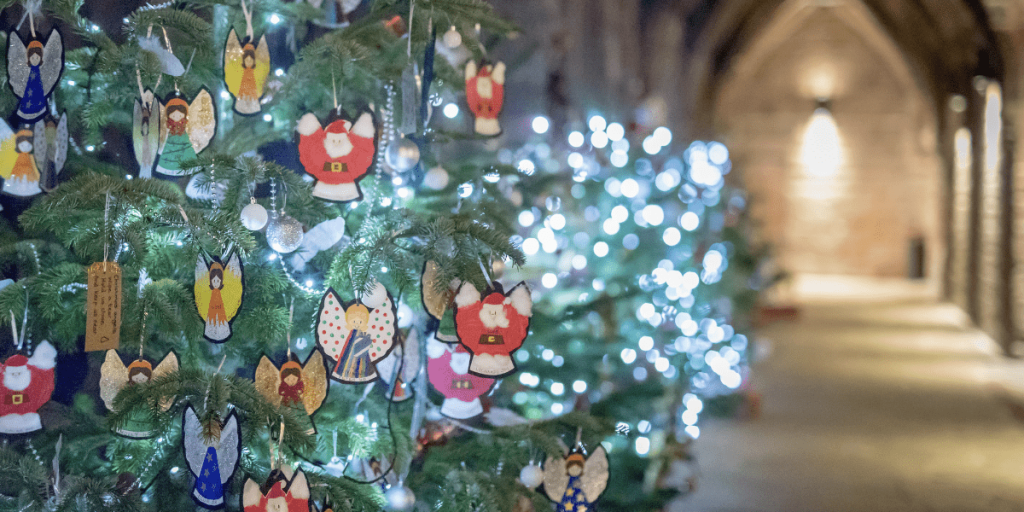 News 7 Chester Cathedral Christmas Tree Festival Light Switch On