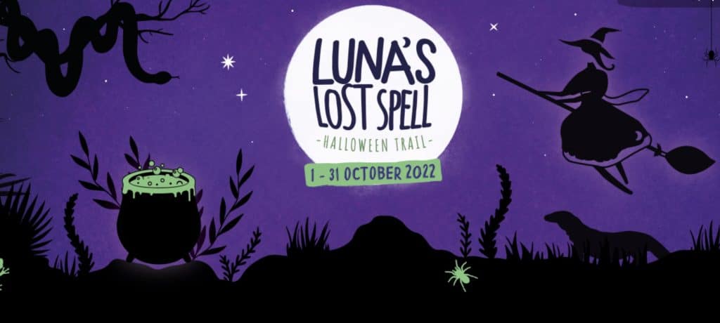 News 5 Chester Zoo Lunas Lost Spell Halloween Trail