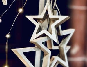 Chester Birds Festively Fabulous Shopping Charity Event