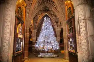 Chester Cathedral Christmas Party Night