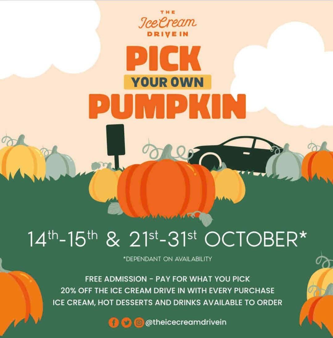 Pumpkin Picking at The Ice Cream Farm