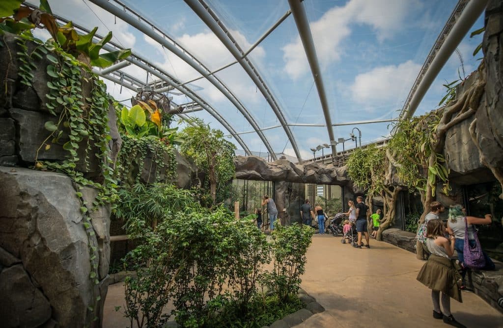 Chester Zoo Monsoon Forest UK's largest indoor zoological building open during Afterglow