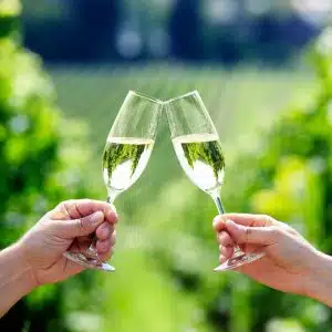 Rowton Hall Hotel Chester Champagne
