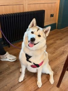 The Station Tap Room Chester Dog Friendly