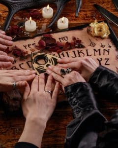 Oddfellows Cabinet Of Curiosities